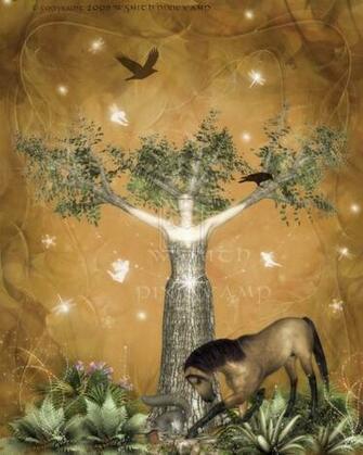 Celtic Tree Of Life By Pixievamp