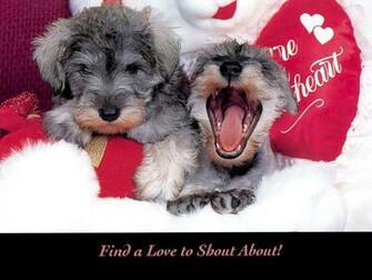 Valentine Dog Wallpaper Top Background
