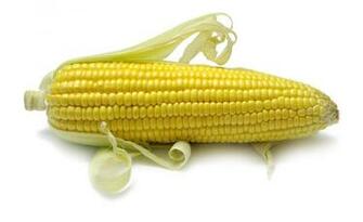 Wallpaper High Resolution Image Of Corn Definition Picture