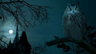 Here Are A Bunch Of Other Random Scary Halloween Desktop Background