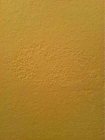 Zinsser Gardz Over Skim Coat Wallpaper Adhesive Painting Diy