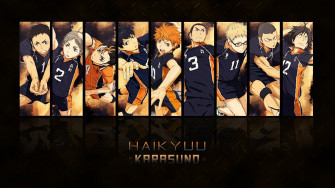Haikyuu Teams Wallpaper