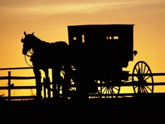 Amish Horse Drawn Buggy Pennsylvania Wallpaper Places