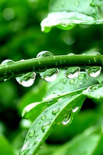 Best Nature iPhone Wallpaper Pictures