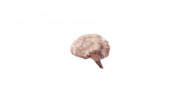 Wallpaper Digital Art Minimalism Low Poly White Background