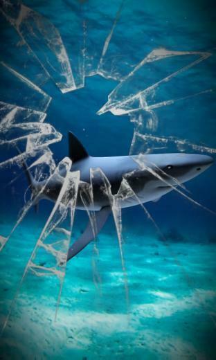 Shark Attack Wallpaper Live