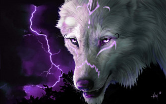 Wolf Aesthetic Wallpaper