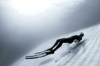 National Geographic Photo Contest Photos The Big Picture