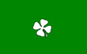 Shamrock Wallpaper Trebol HD Teahub Io