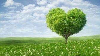 Nature Heart Desktop Pc And Mac Wallpaper