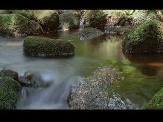 Slow Motion Calm Stream Wallpaper