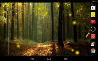 Fireflies Live Wallpaper Android Apps On Google Play
