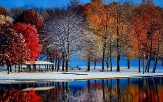 Autumn With Winter X Forest Photography Miriadna