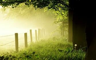 Spring And Summer Scenery Pics Wallpaper