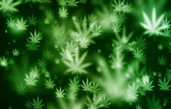 Multiple Weed Leafs HD Wallpaper