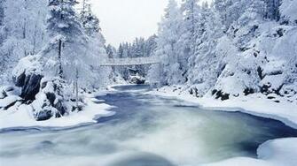 Frozen Trees River Wallpaper HD