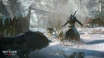 The Collection Witcher Video Game Wild Hunt