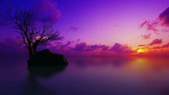 Trees Purple Wallpaper