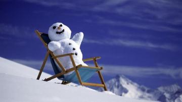 Funny Winter Wallpaper HD Background Itl Cat