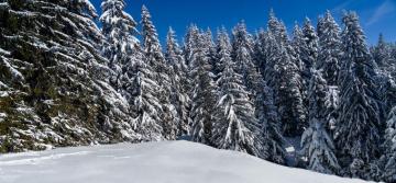 Zoom Ing Around The Slopes Ski Background For Your Next