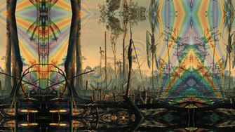 Psychedelic Art Fine Pictures