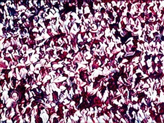 Displaying Gallery Image For Stadium Crowd Background