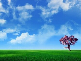 Wallpaper 3d Top Ten Beaches Friends Serenity