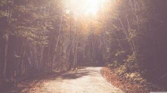 Vintage Forest Road 4k HD Desktop Wallpaper For Ultra Tv
