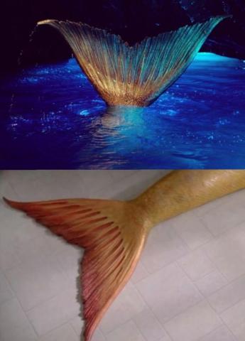 Newfirelily On H2o Just Add Water And Mako Mermaids In