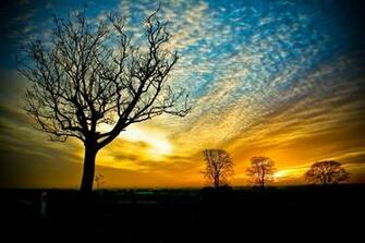 Best Wallpaper Sunset Love Nature Arena