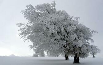 HD Widescreen Wallpaper Right Click The Select Set As