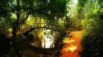Incredible Nature Wallpaper