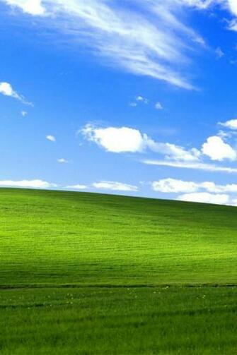Windows Xp Bliss Wallpaper Cool HD For
