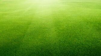 Photo Artificial Grass Background Lawn Indoor Material