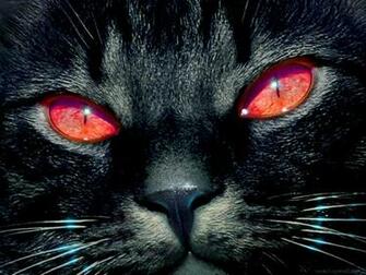 Black Cat Eyes Wallpaper Blue Yellow Green Red
