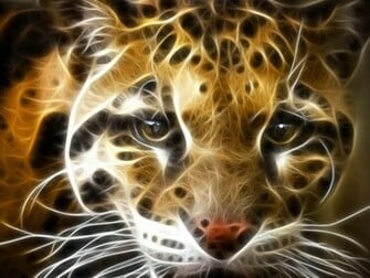 Tiger 3d Wallpaper Image Photos Pictures And Background For