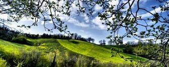 Wallpaper Spring Fields Trees Greenery Dual Monitor