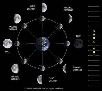 Moon Phases Diagram