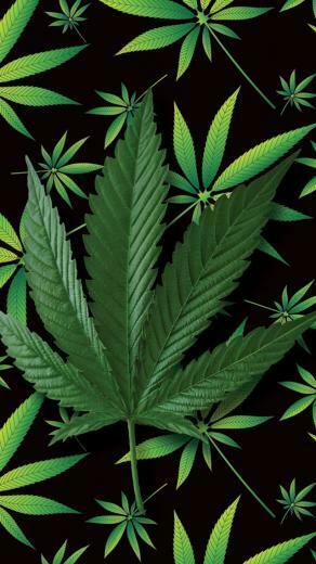 Weed Background For iPhone Wallpaper