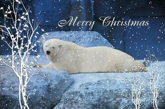 Christmas Polar Bears