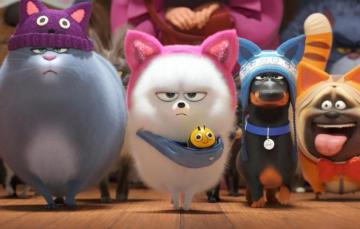 Wallpaper Animals The Secret Life Of Pets