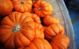 Fall Pumpkin Wallpaper
