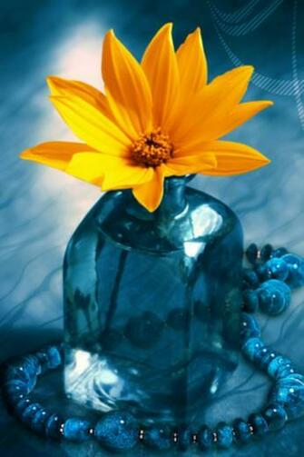 Yellow Flower iPhone Wallpaper iPhones Ipod Touch Background