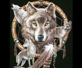 Fairy Tale Dreams Photo Wolves