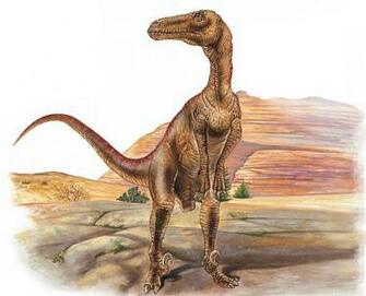 Utahraptor Carnivore Dinosaurs