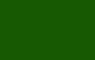 Green Solid Color Background And The Below