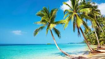 Tropical Beach 4k Ultra HD Wallpaper Net