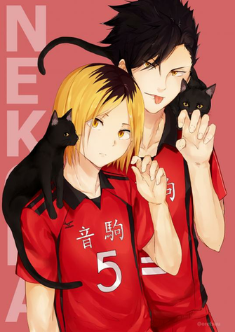 Haikyuu Furudate Haruichi Mobile Wallpaper