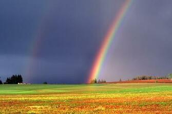 Rainbow Desktop Wallpaper On Latoro