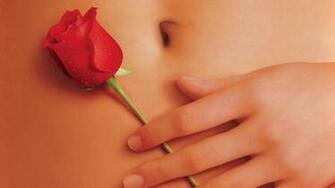 American Beauty Wallpaper High Resolution 93vpl39 4usky